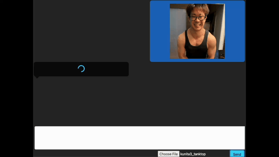 2502_VLM_mov1.gif