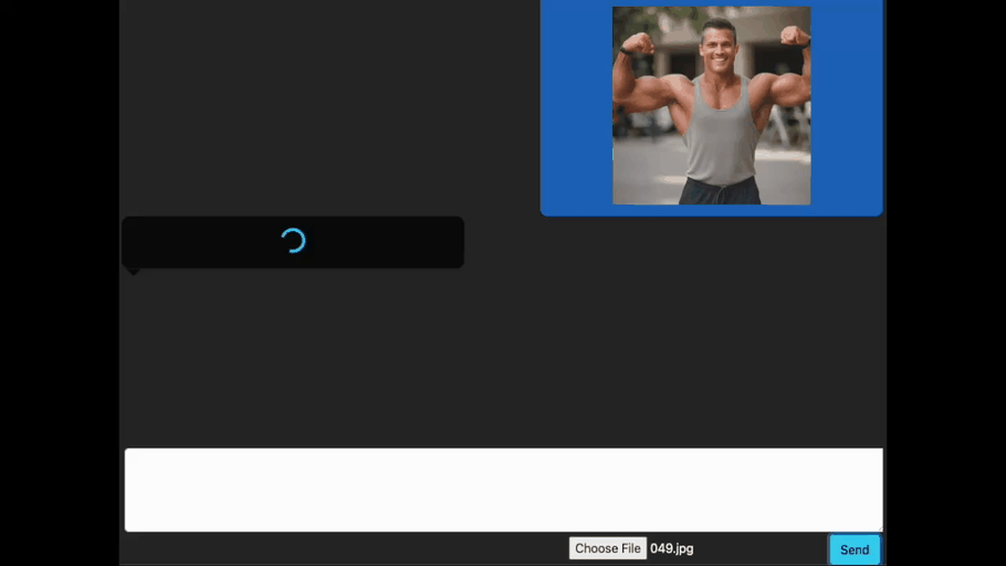2502_VLM_mov2.gif