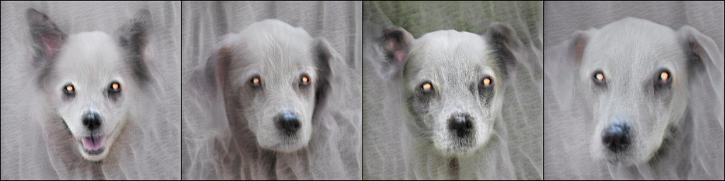 Dog2Ghost_14.png